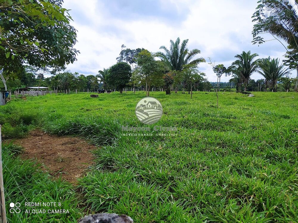 Fazenda-Sítio-Chácara - Foto 6