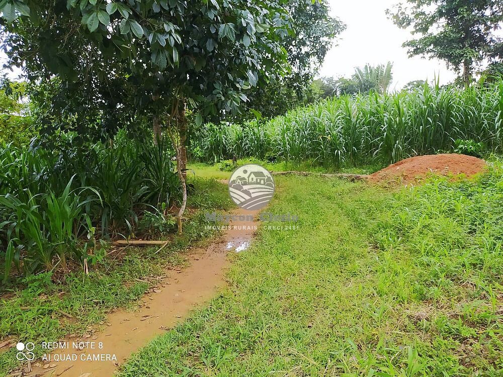 Fazenda-Sítio-Chácara - Foto 16