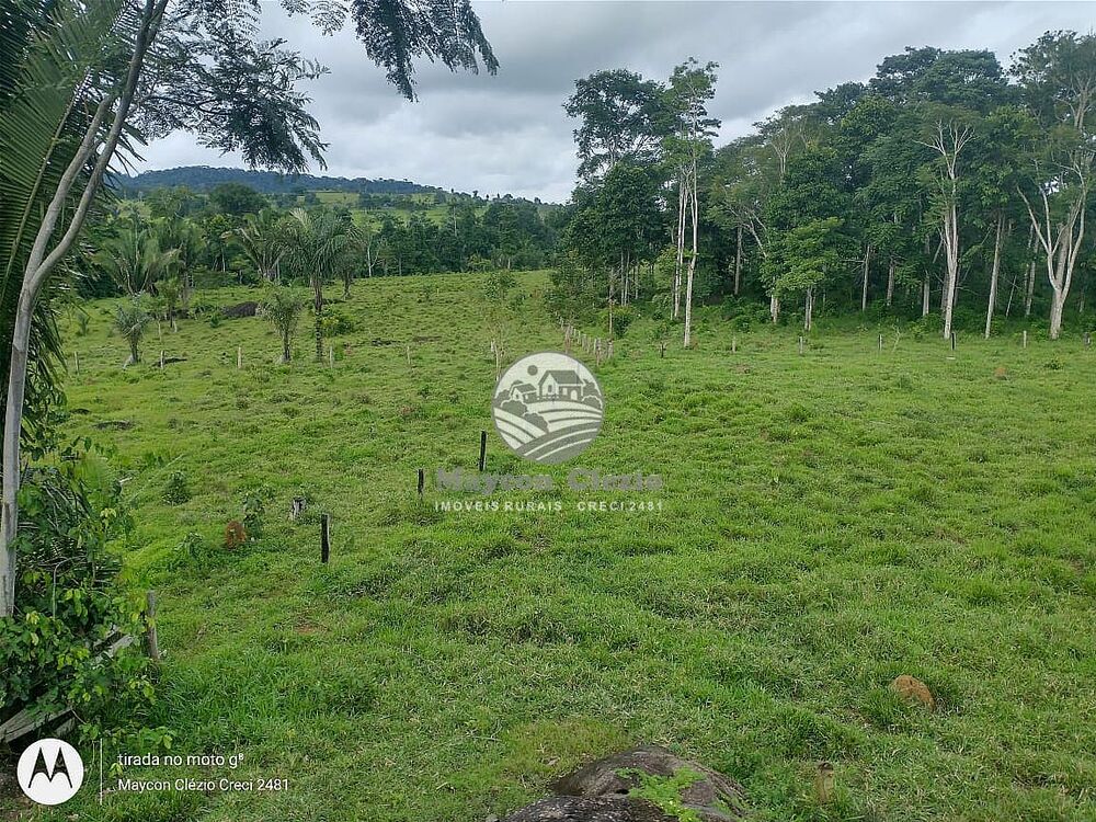 Fazenda-Sítio-Chácara - Foto 13