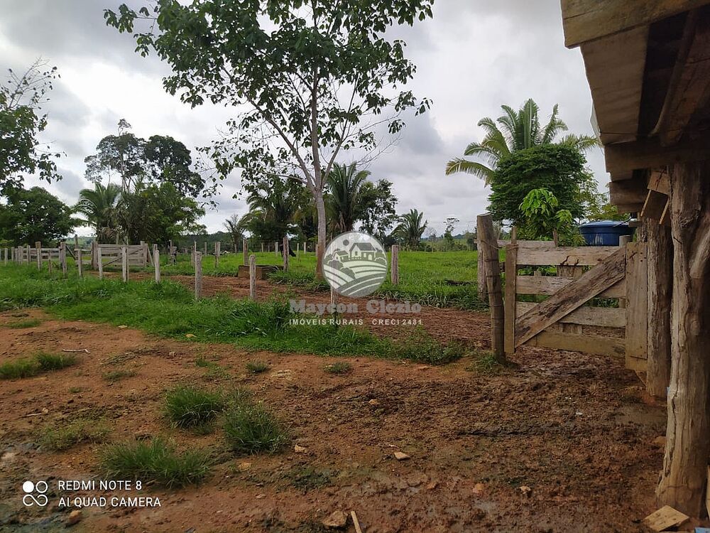 Fazenda-Sítio-Chácara - Foto 5