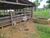 Fazenda-Sítio-Chácara - Foto 3