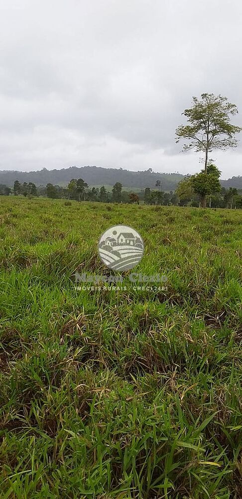 Sítio, 170000 m² - Foto 4