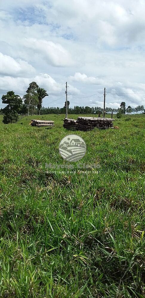 Sítio, 170000 m² - Foto 11