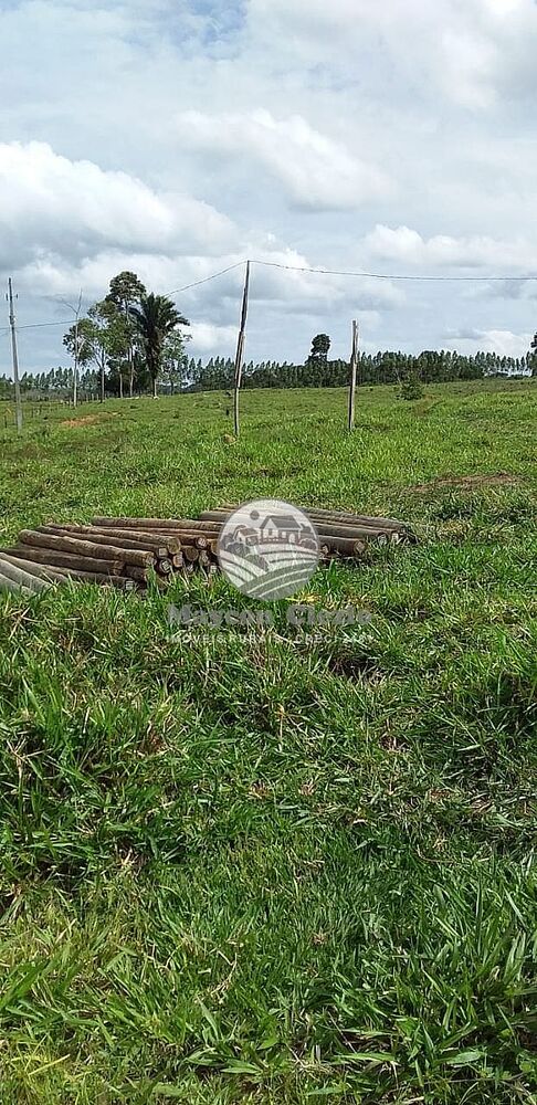 Sítio, 170000 m² - Foto 12