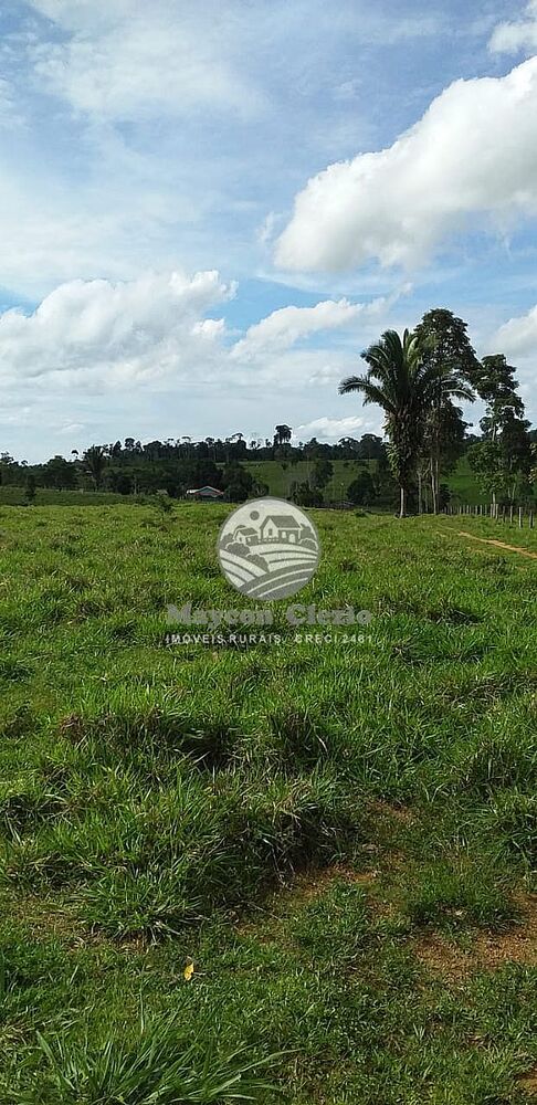 Sítio, 170000 m² - Foto 9