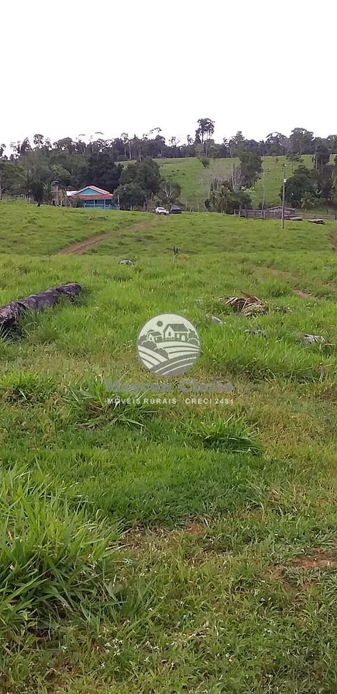 Sítio, 170000 m² - Foto 2