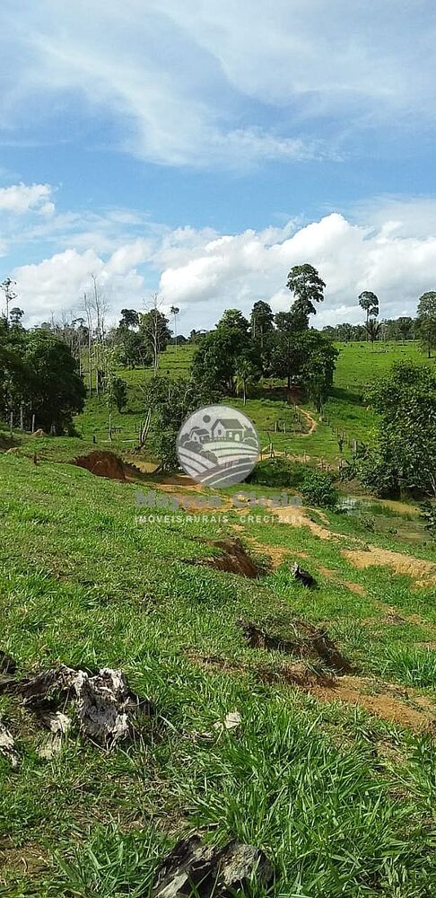 Sítio, 170000 m² - Foto 10