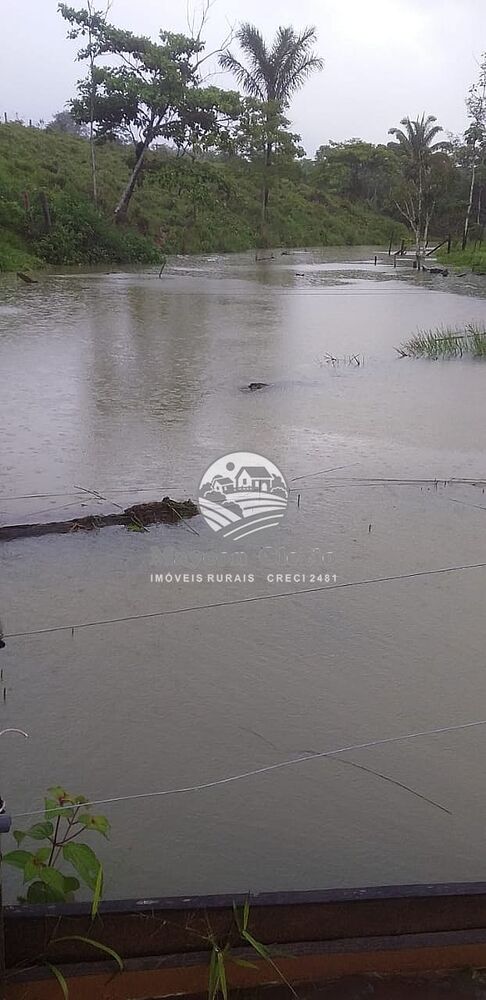 Sítio, 170000 m² - Foto 16