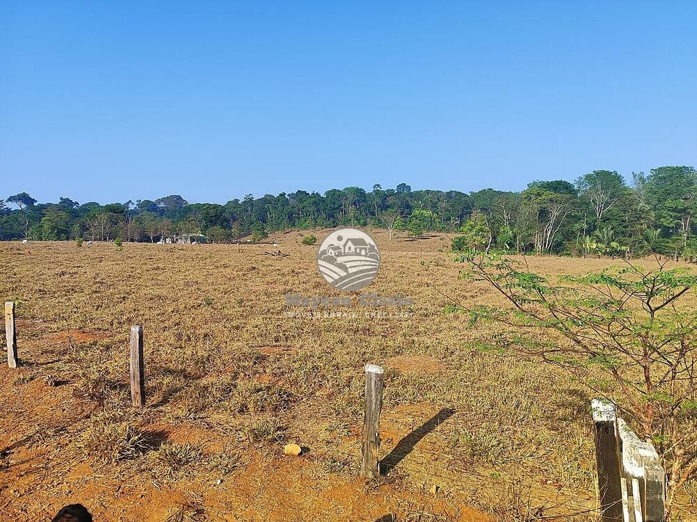 Fazenda - Foto 11