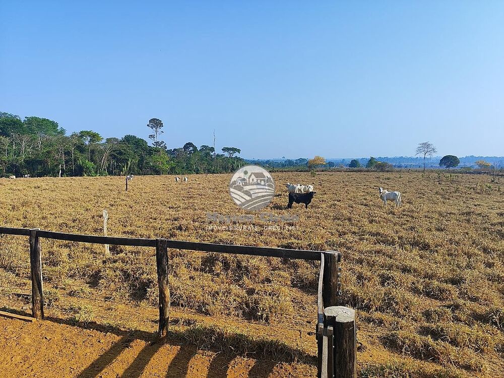 Fazenda - Foto 8
