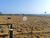Fazenda-Sítio-Chácara - Foto 3