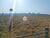 Fazenda-Sítio-Chácara - Foto 5