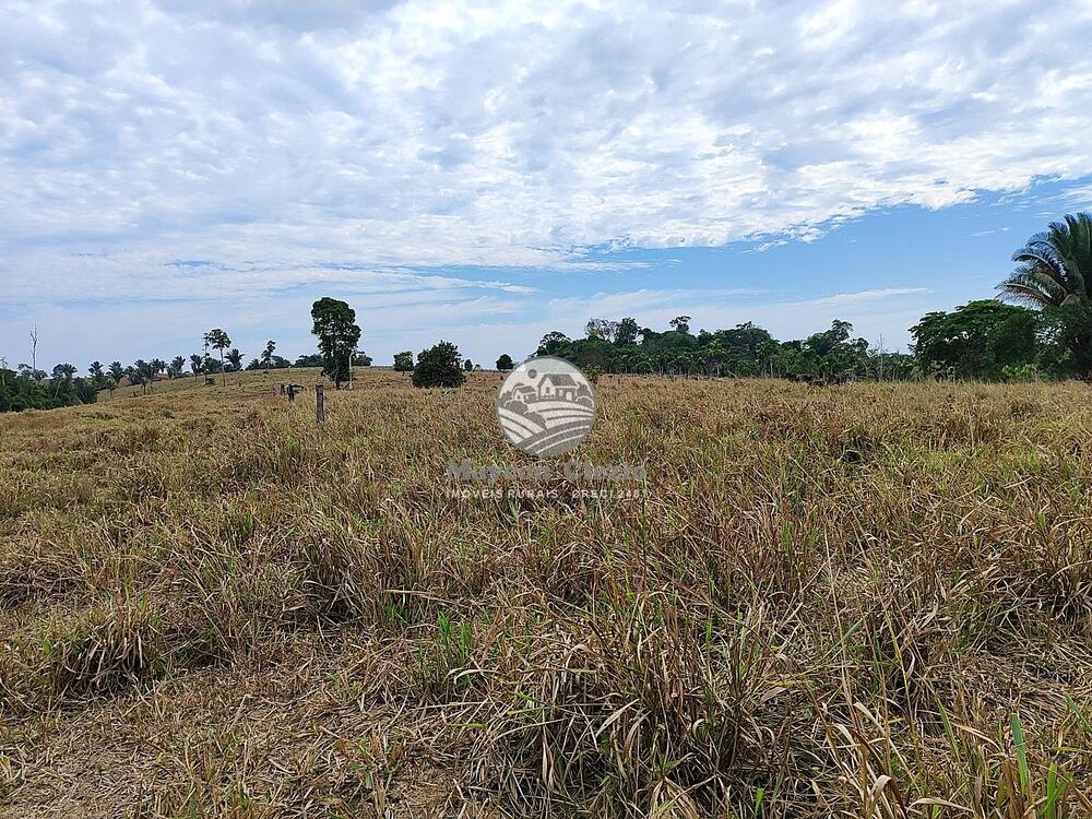 Fazenda-Sítio-Chácara - Foto 2
