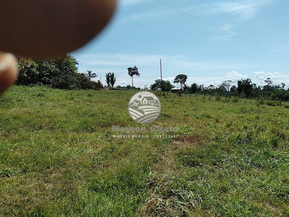 Sítio, 242000 m² - Foto 3