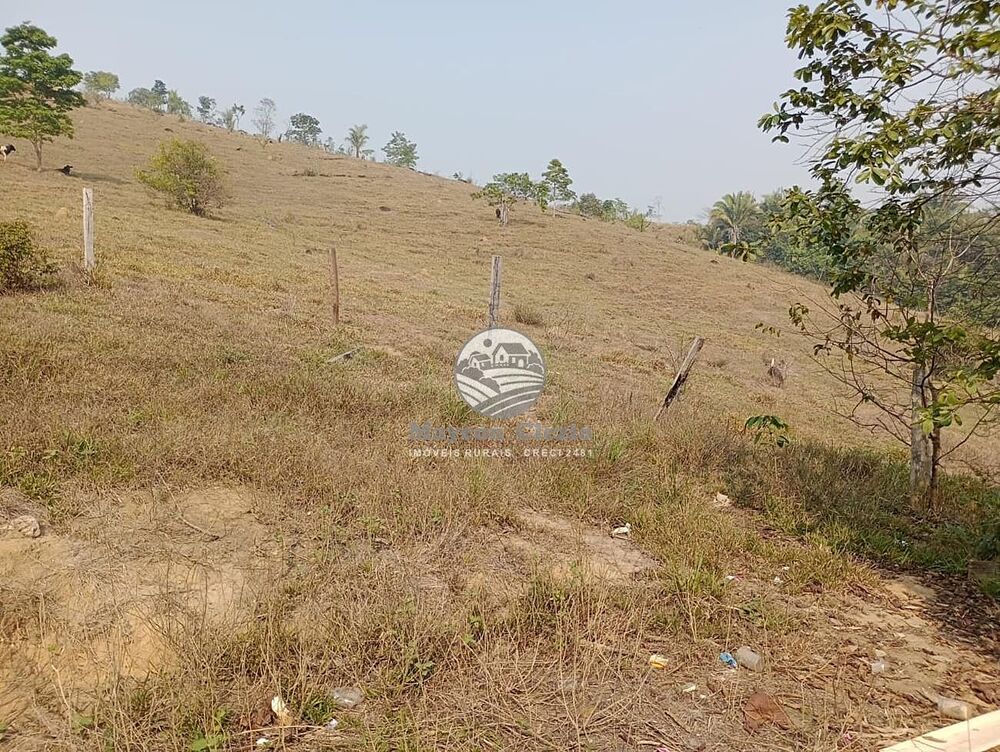 Fazenda, 26 hectares - Foto 3