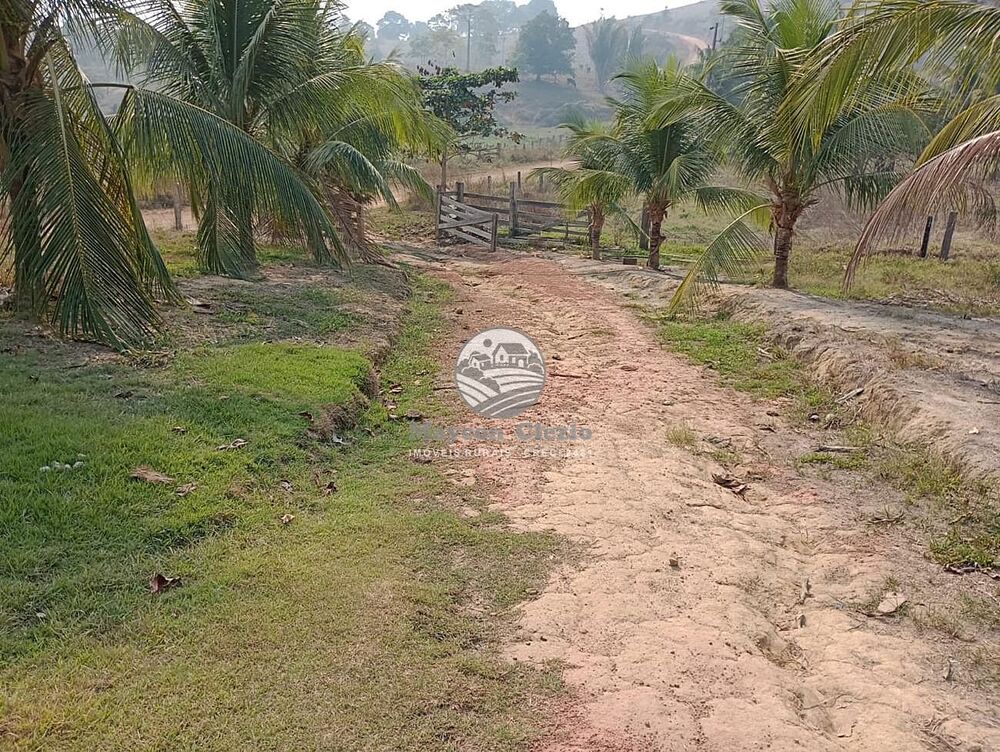 Fazenda, 26 hectares - Foto 4