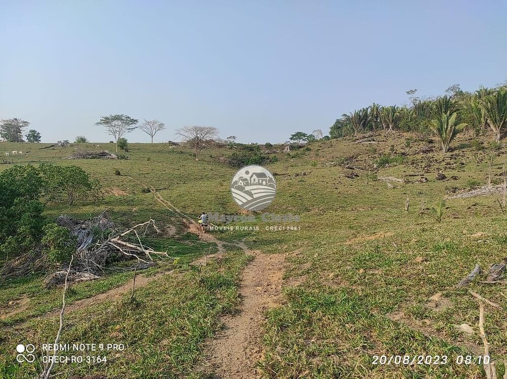 Sítio, 450000 m² - Foto 1