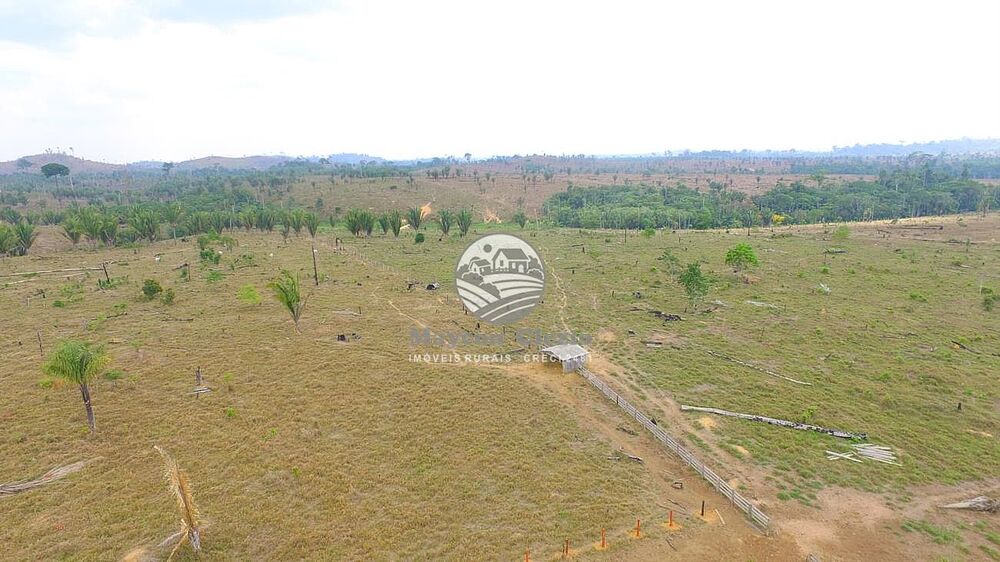 Fazenda-Sítio-Chácara - Foto 3