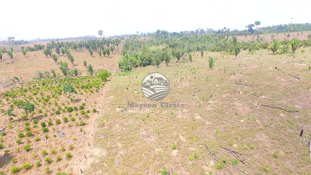 Fazenda-Sítio-Chácara - Foto 13