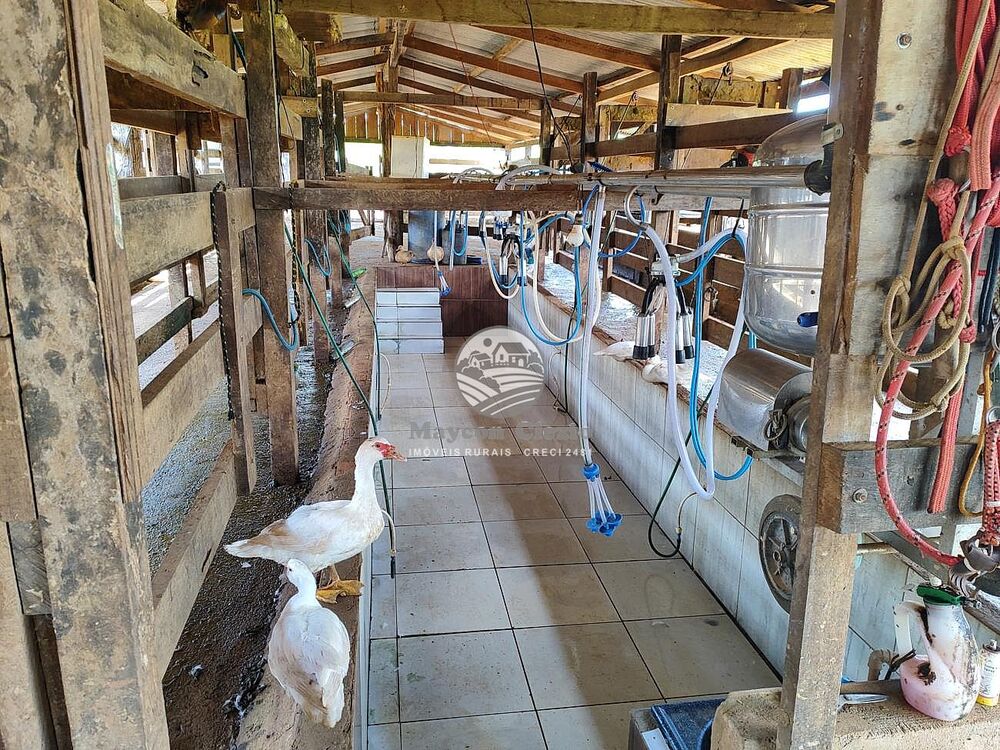 Fazenda - Foto 2