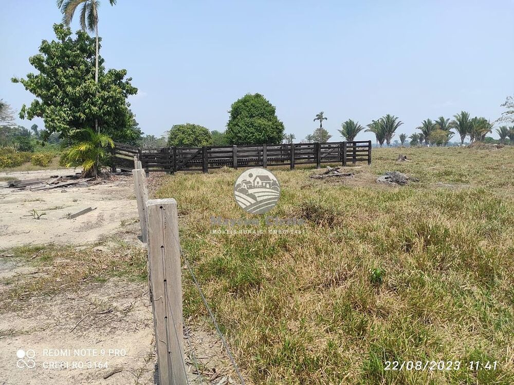 Sítio, 990000 m² - Foto 7