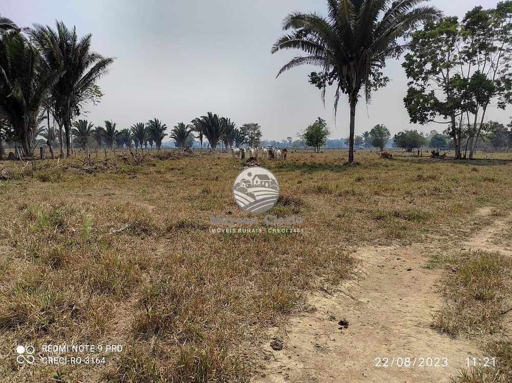 Sítio, 990000 m² - Foto 6