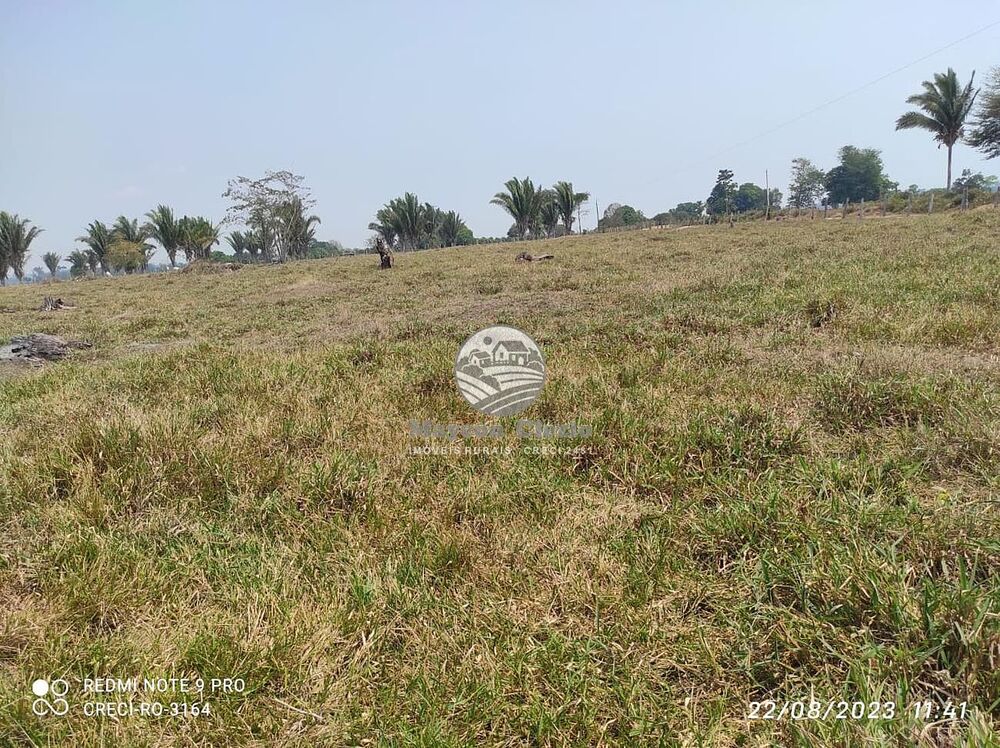 Sítio, 990000 m² - Foto 8