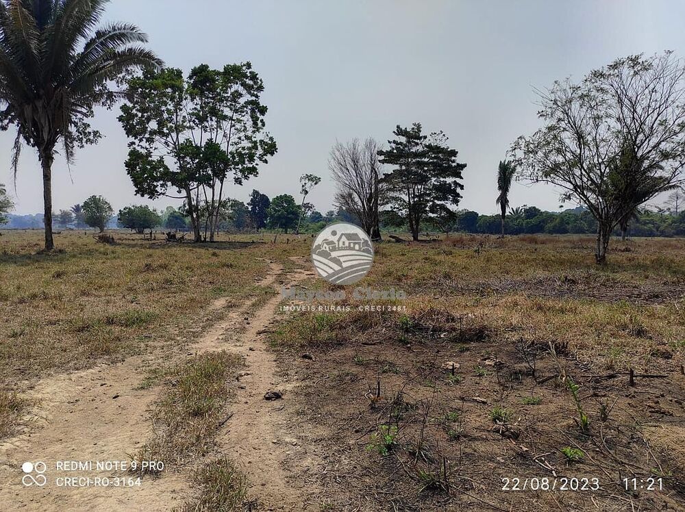 Sítio, 990000 m² - Foto 5