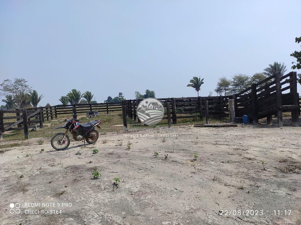 Sítio, 990000 m² - Foto 3