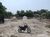 Sítio, 990000 m² - Foto 2