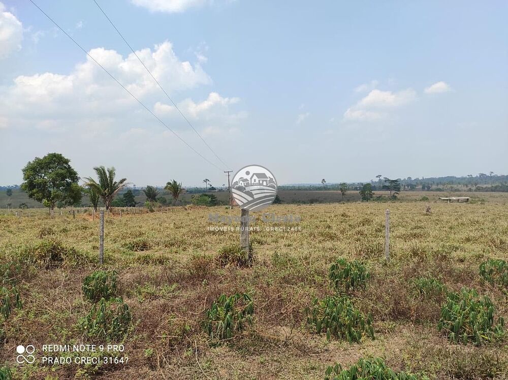 Sítio, 10 hectares - Foto 1