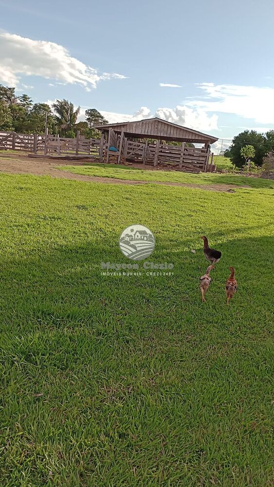 Sítio, 500000 m² - Foto 7