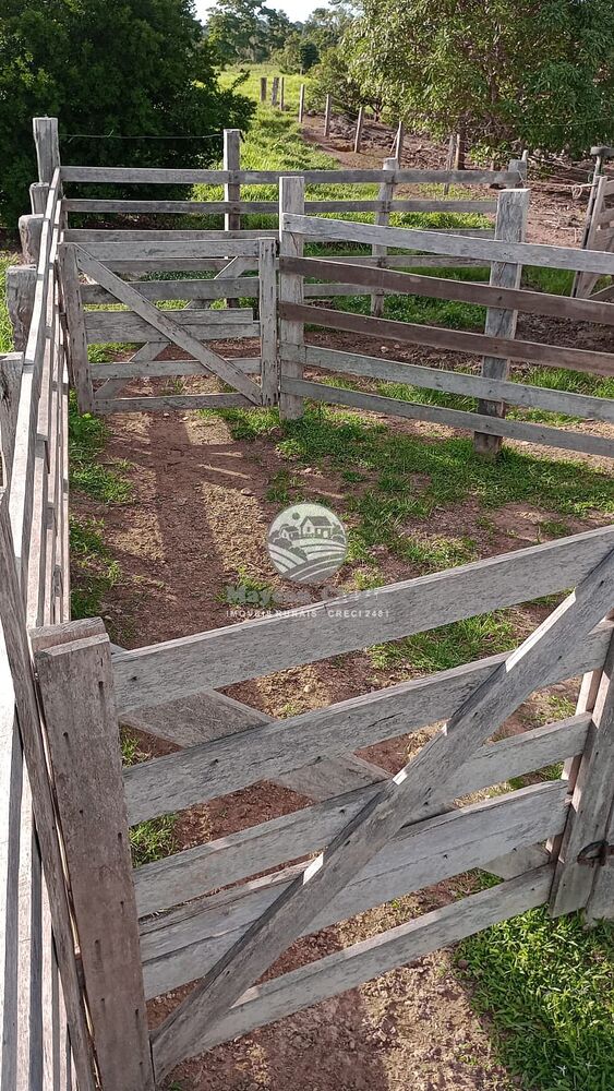 Sítio, 500000 m² - Foto 2