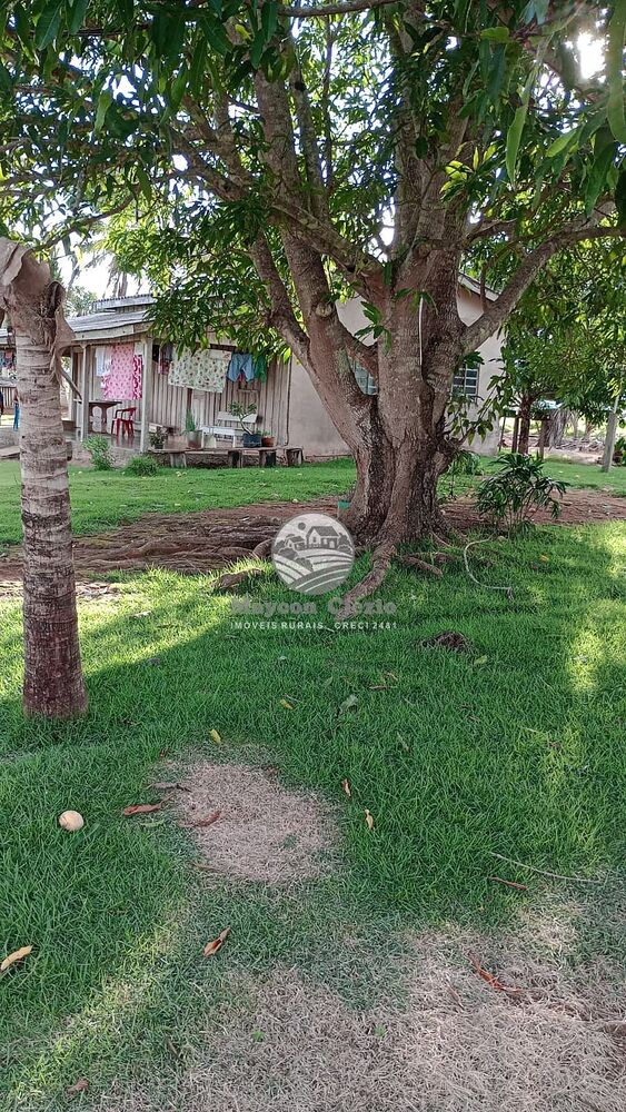 Sítio, 500000 m² - Foto 11