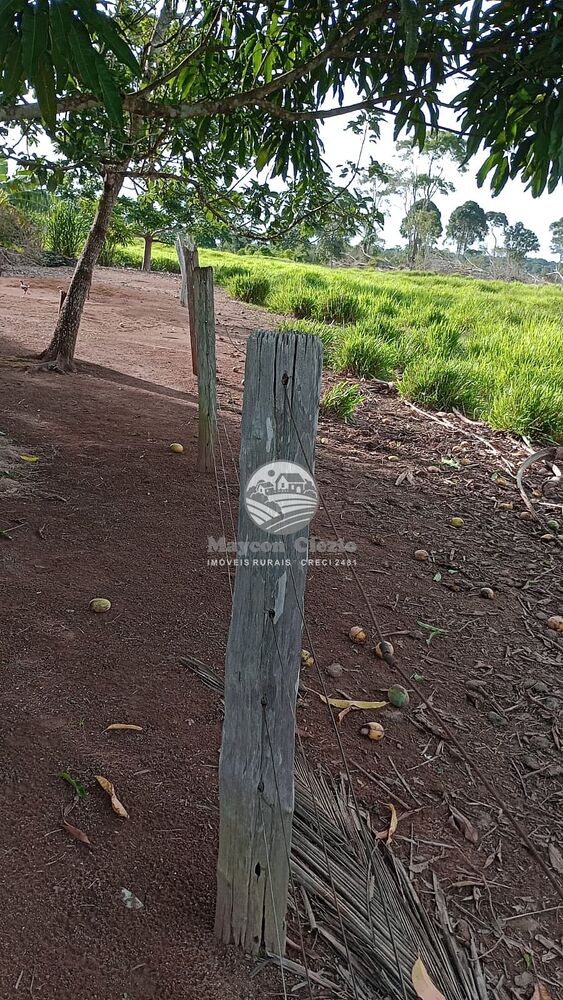 Sítio, 500000 m² - Foto 8