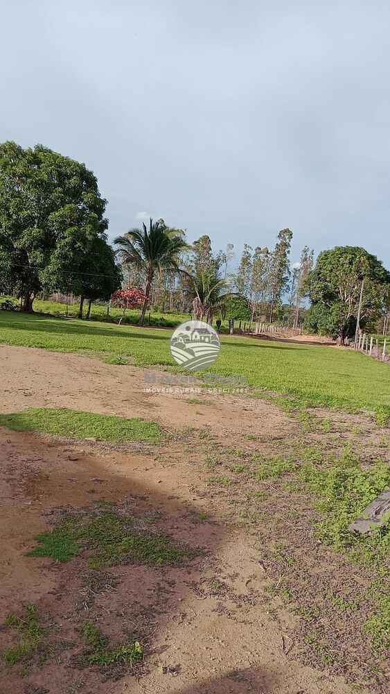 Sítio, 500000 m² - Foto 4