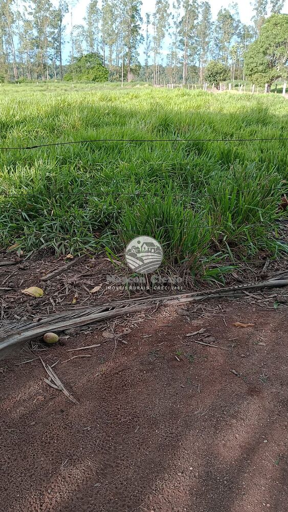 Sítio, 500000 m² - Foto 9