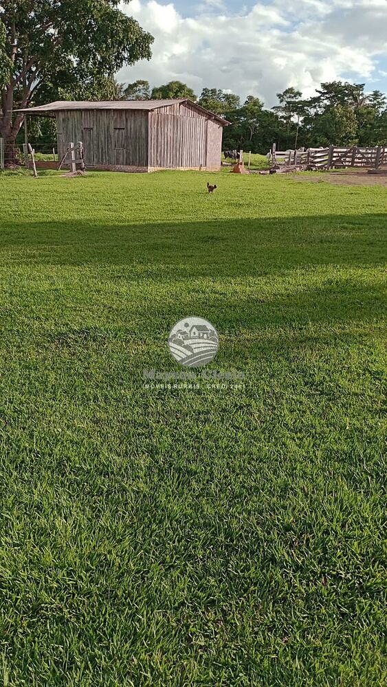 Sítio, 500000 m² - Foto 10