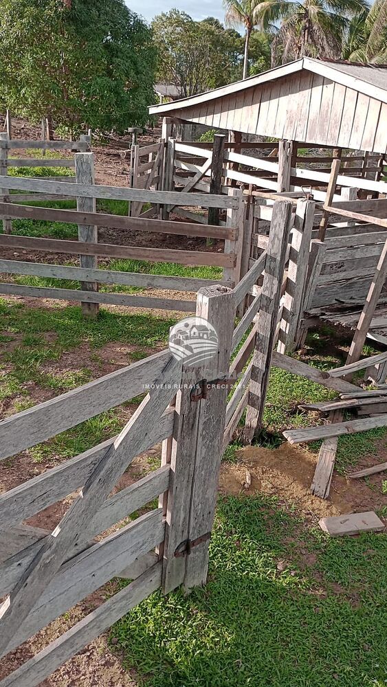 Sítio, 500000 m² - Foto 3