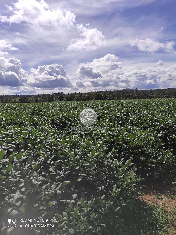 Fazenda-Sítio-Chácara - Foto 9