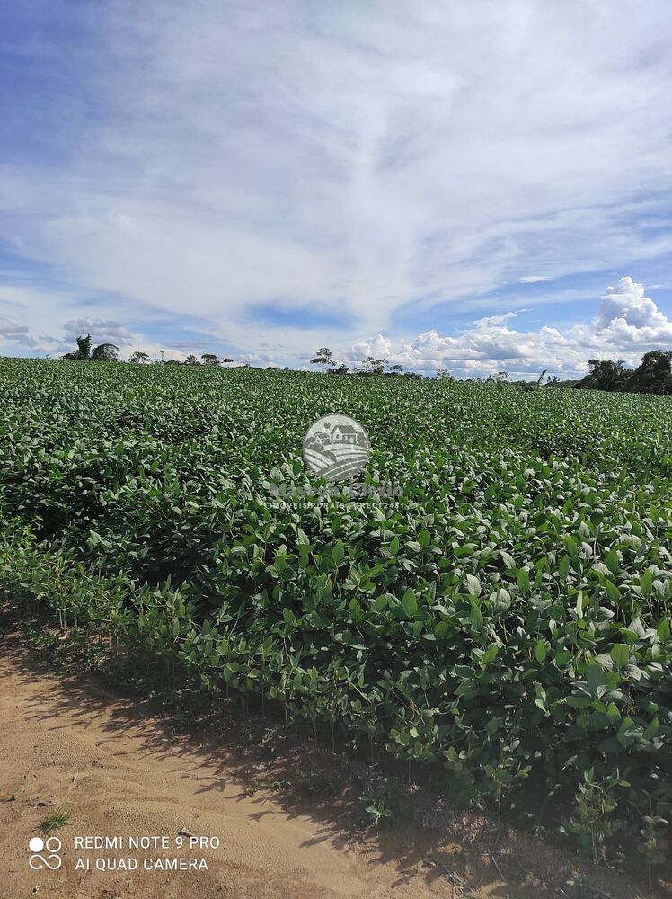 Fazenda-Sítio-Chácara - Foto 7