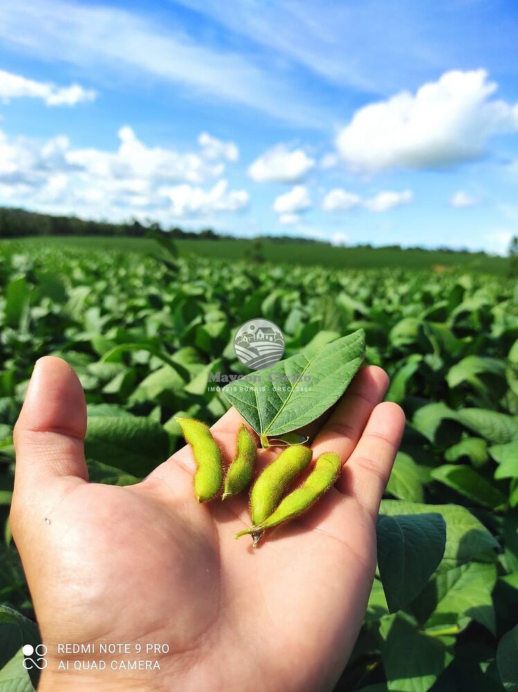 Fazenda-Sítio-Chácara - Foto 5