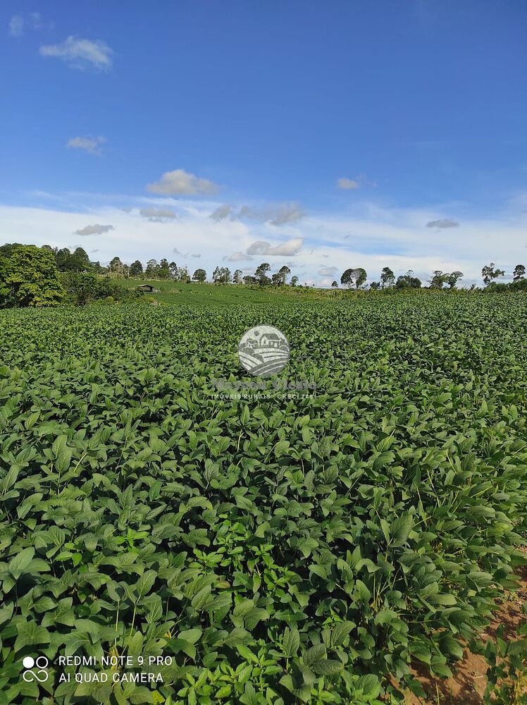 Fazenda-Sítio-Chácara - Foto 6