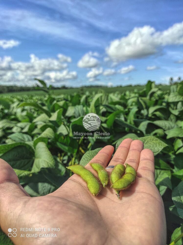 Fazenda-Sítio-Chácara - Foto 2