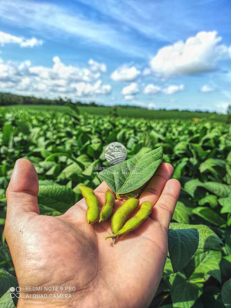 Fazenda-Sítio-Chácara - Foto 1