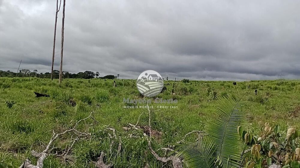 Fazenda - Foto 9