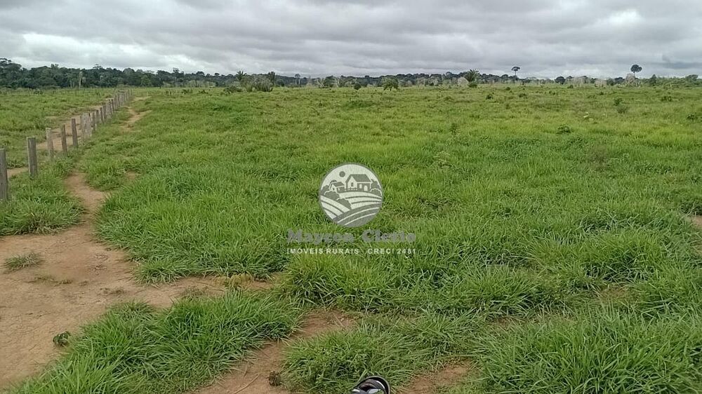 Fazenda - Foto 6
