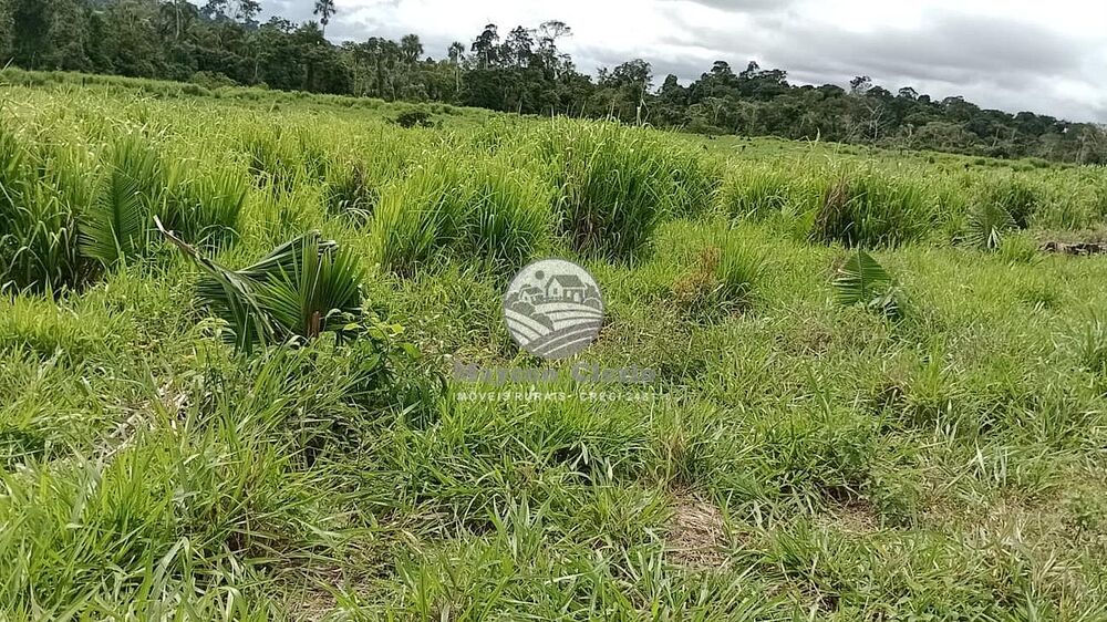 Fazenda - Foto 19