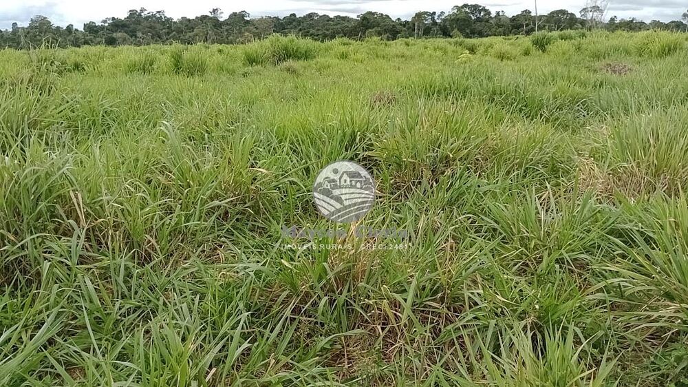 Fazenda - Foto 14