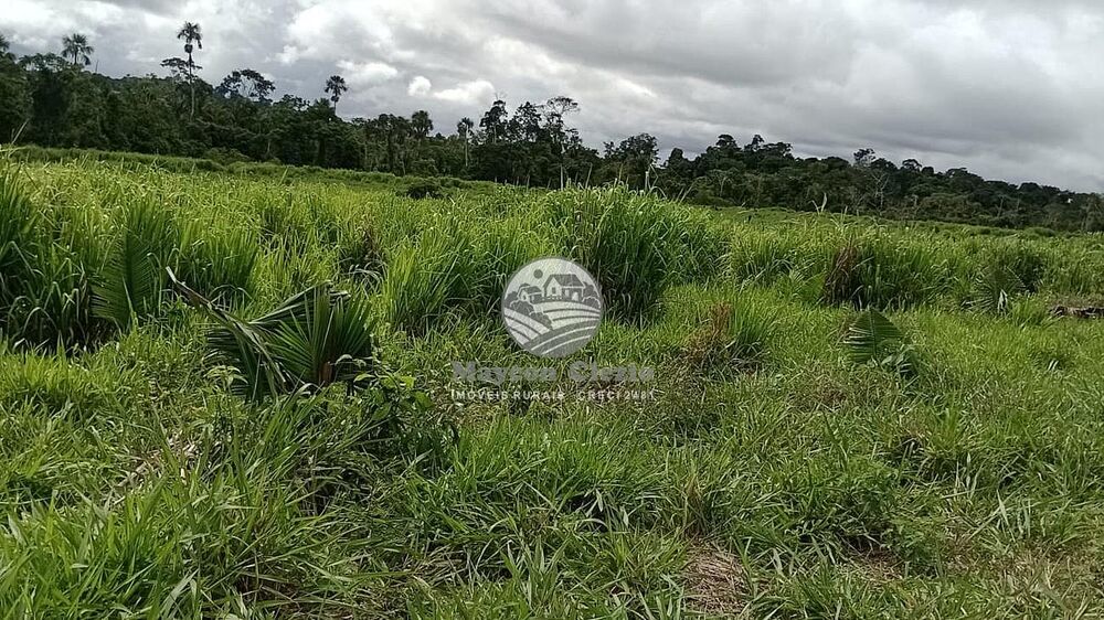 Fazenda - Foto 15